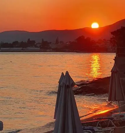 Artemis Otel Amarynthos