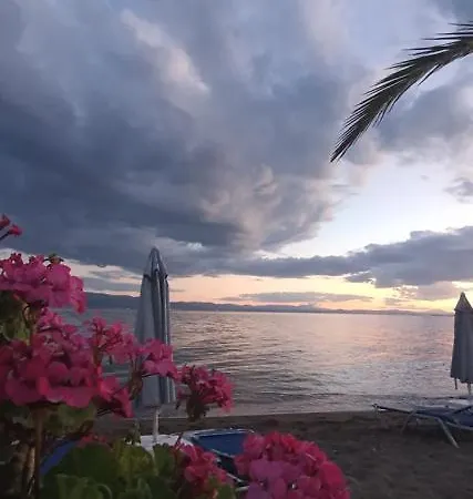 Otel Artemis Amarynthos
