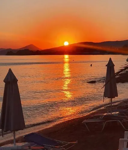 Hotel Artemis Amarynthos